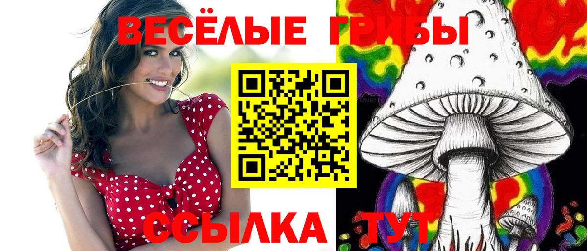 Псилоцибиновые грибы прущие грибы Сорочинск