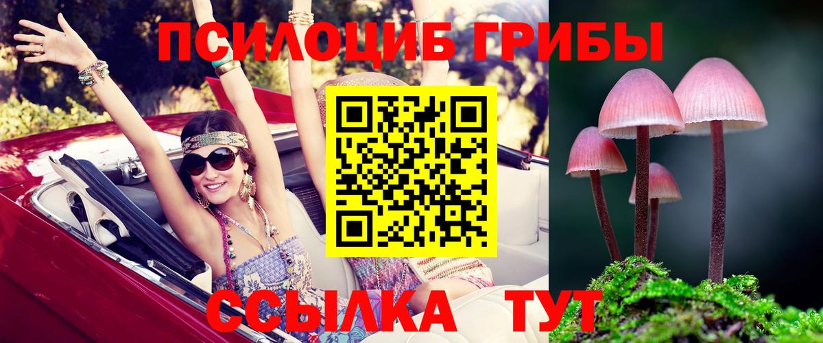 купить наркотики сайты  Вход с VPN  Сорочинск  Галлюциногенные грибы Magic Shrooms 